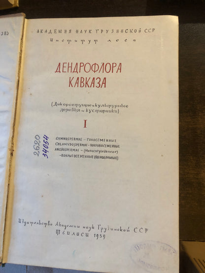 ДЕНДРОФЛОРА КАВКАЗА 1