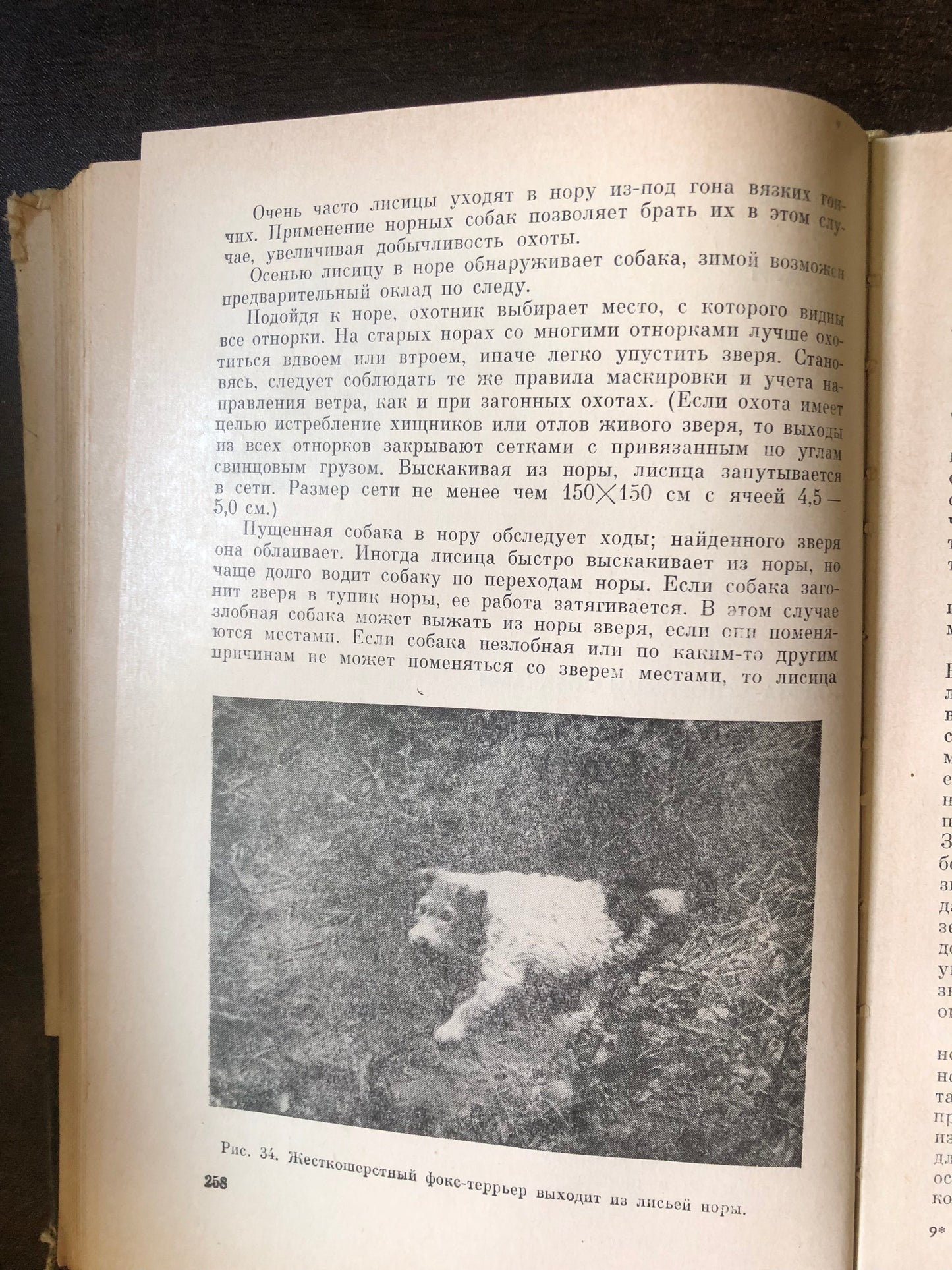 ОХОНИЧЬЕ СОБАКОВОДСТВА