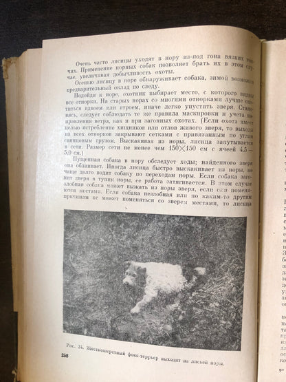ОХОНИЧЬЕ СОБАКОВОДСТВА