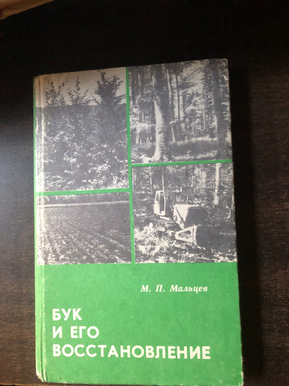 БУК И ЕГО ВОССТАНОВЛЕНИЕ