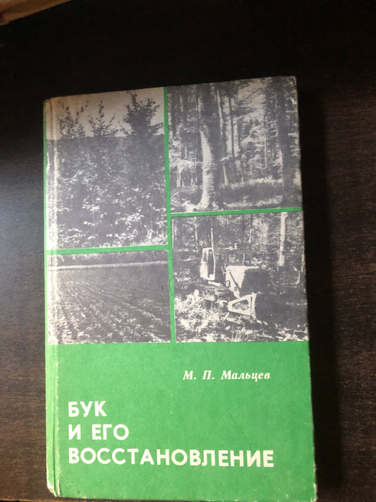 БУК И ЕГО ВОССТАНОВЛЕНИЕ