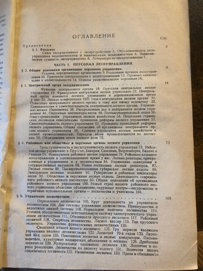 ЛЕСОУПРАВЛЕНИЕ КАК МСПОЛНЕНИЕ ЛЕСОУСТРОИТЕЛЬНОГО ПЛАНИРОВАНИЯ