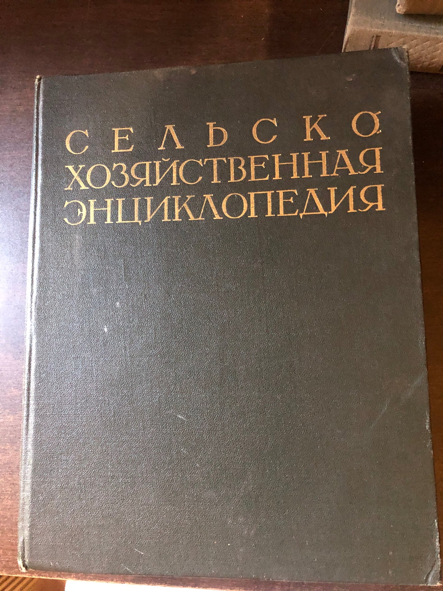 СУЛЬСКОГО ХОЗЯЙСИВЕННАЯ ЭНЦИКЛОПЕДИЯ