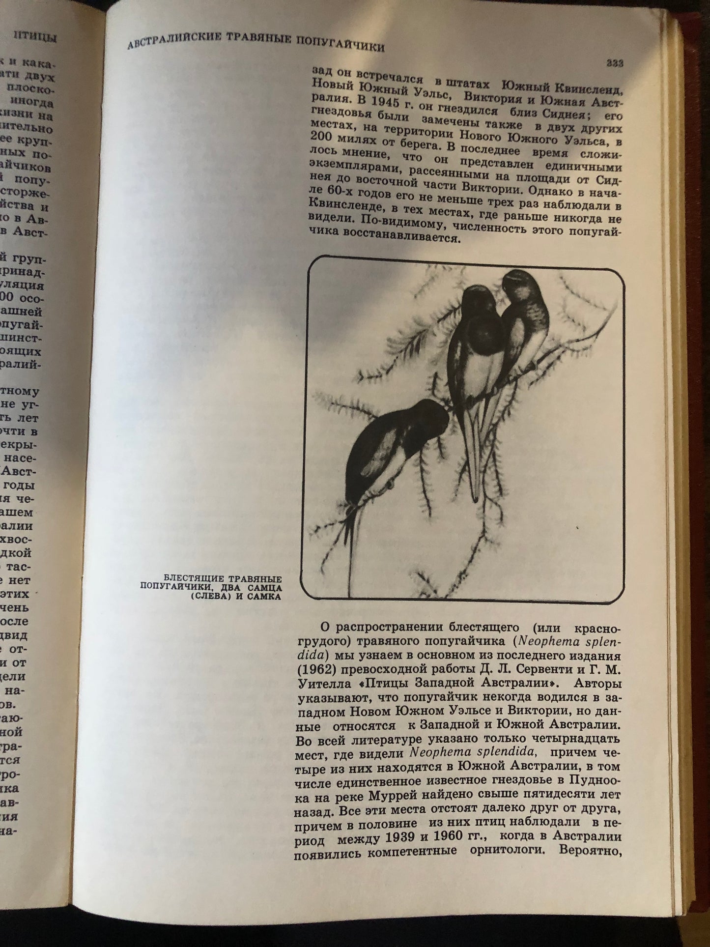 КРАСНАЯ КНИГА