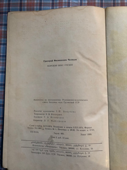 МОРСКОЙ ПОНТ ГРУЗИИ