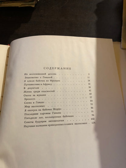 МОЯ ООТА ЗА БАБОЧКАМИ