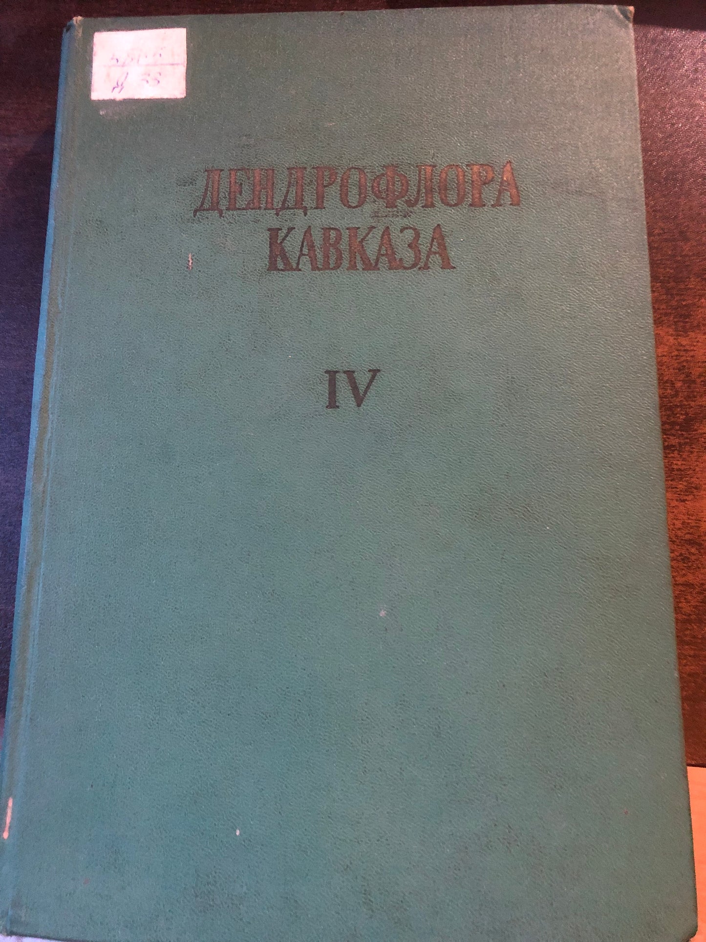 ДЕНДРОФЛОРА КАВКВЗА 4
