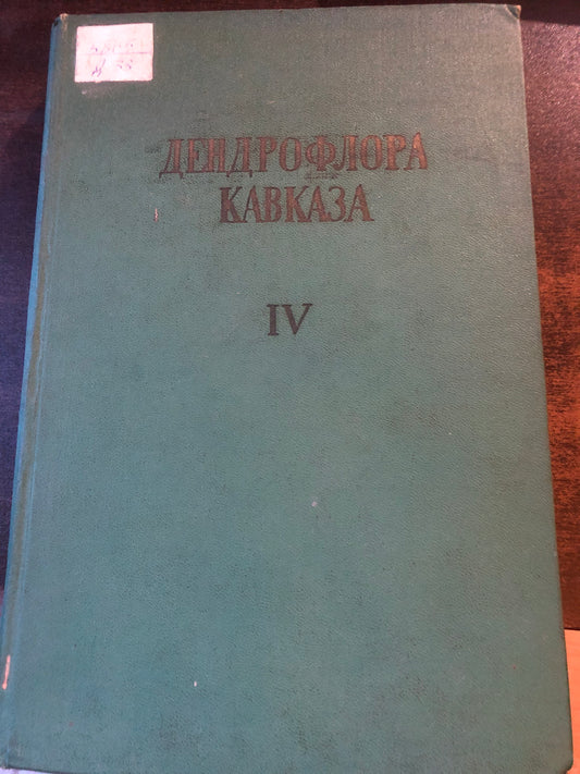 ДЕНДРОФЛОРА КАВКВЗА 4