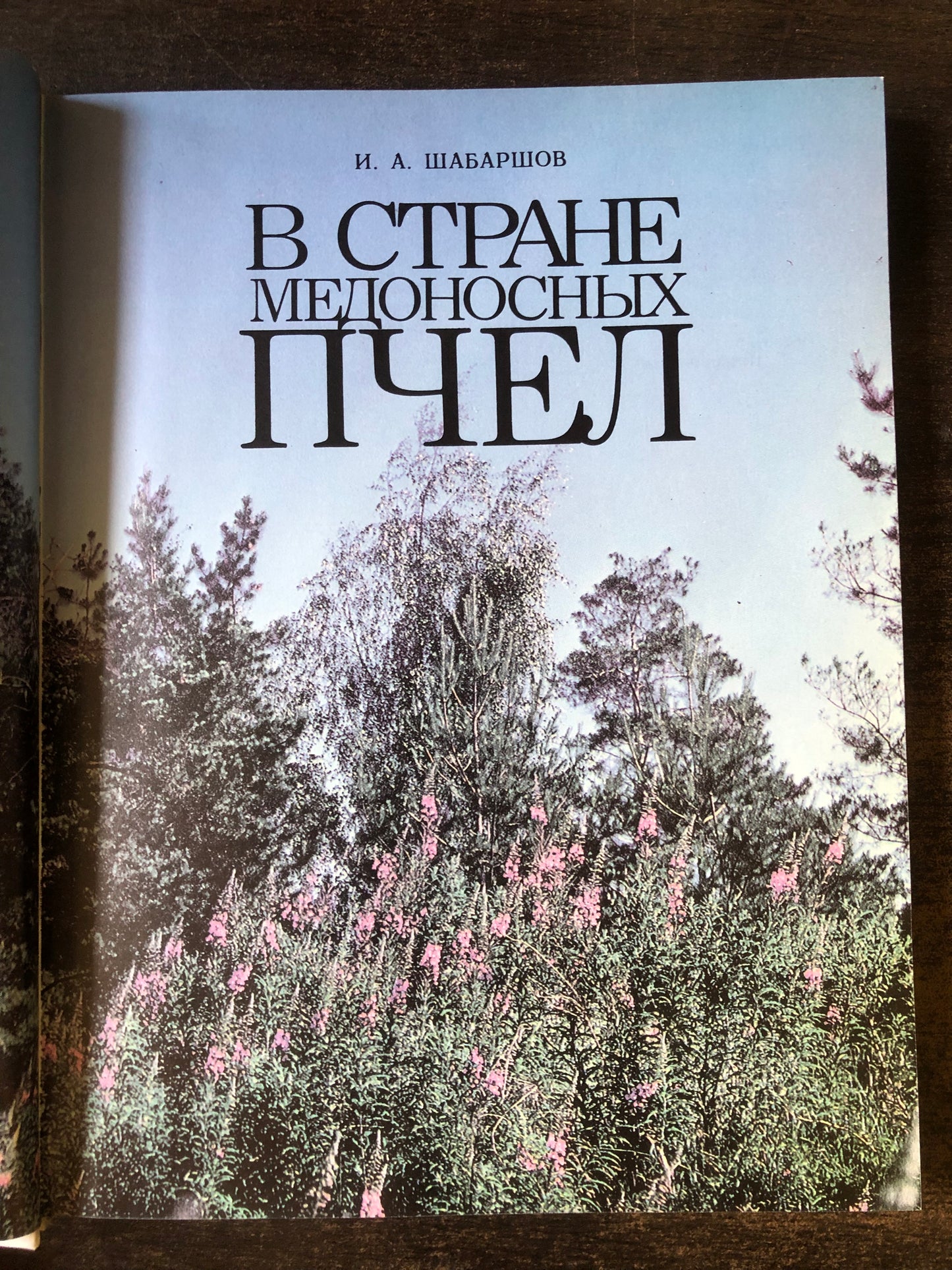 В СТРАНЕ МЕДОНОСНЫХ ПЛЕЧ