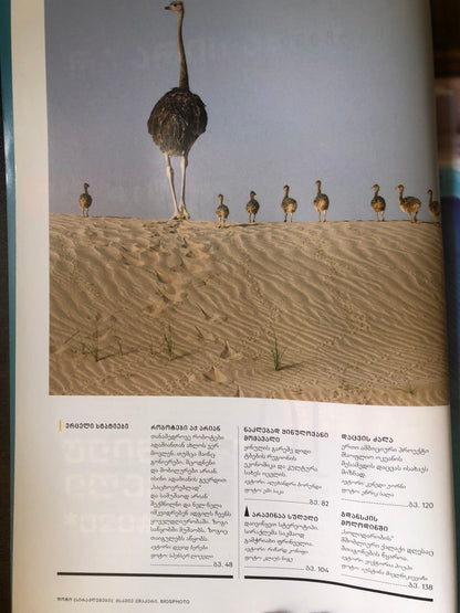 NATIONAL GEOGRAPHIC გაიცანით რობოტები