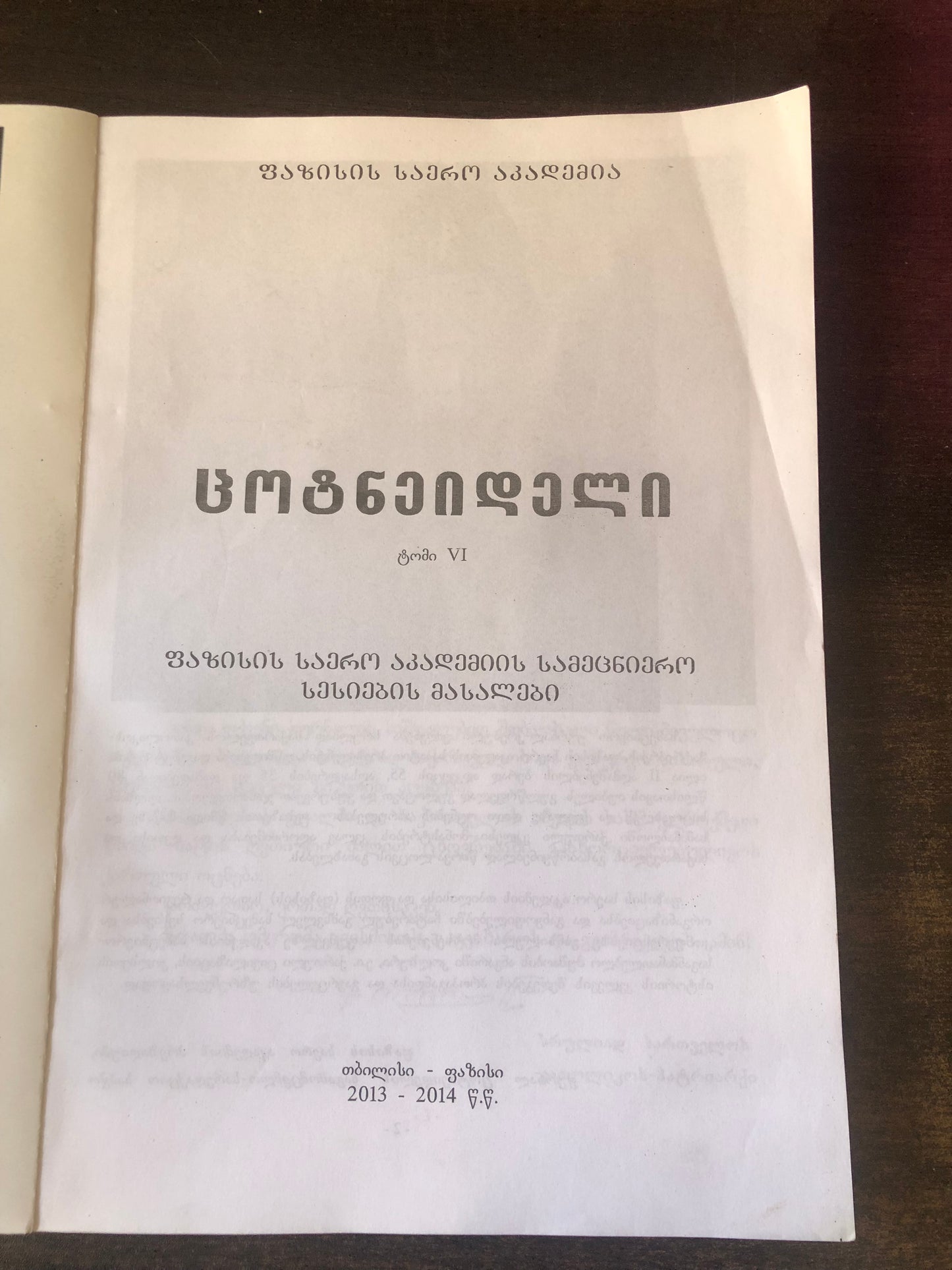 ცოტნეიდელი (ტომი VI)