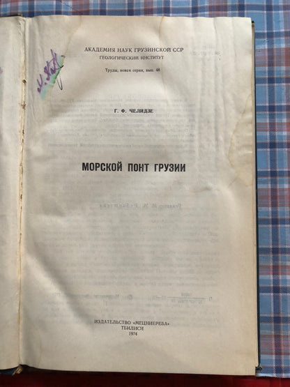 МОРСКОЙ ПОНТ ГРУЗИИ