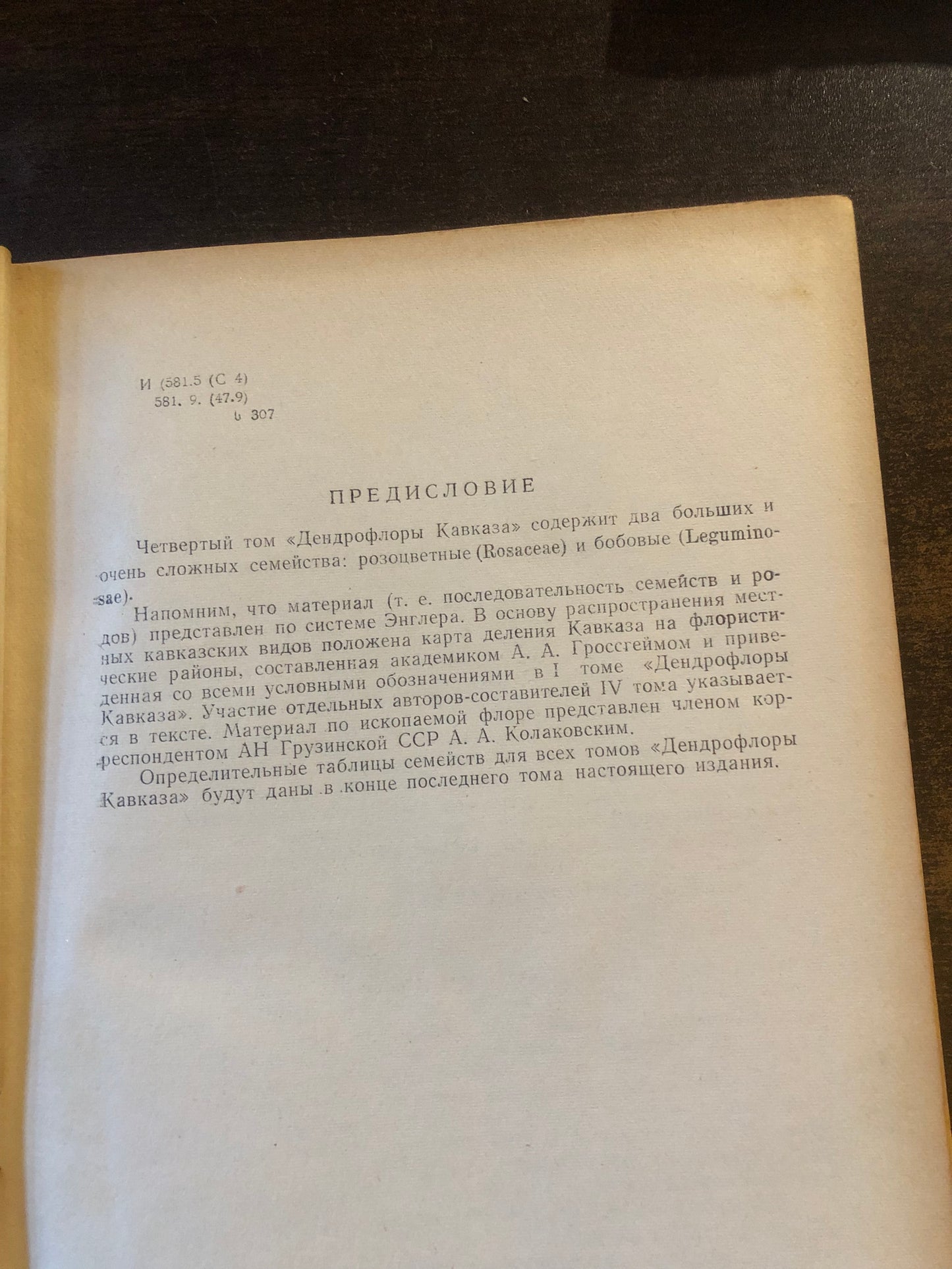 ДЕНДРОФЛОРА КАВКВЗА 4