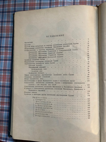 МОРСКОЙ ПОНТ ГРУЗИИ