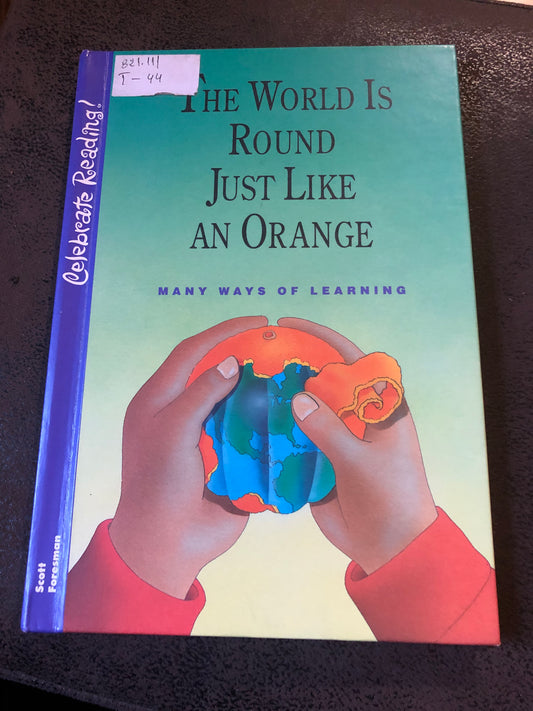 The world is round just like an orange