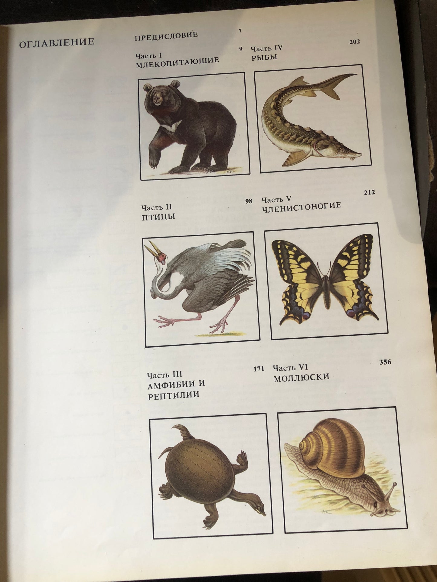 КРАСНАЯ КНИГА СССР