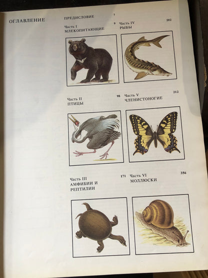КРАСНАЯ КНИГА СССР