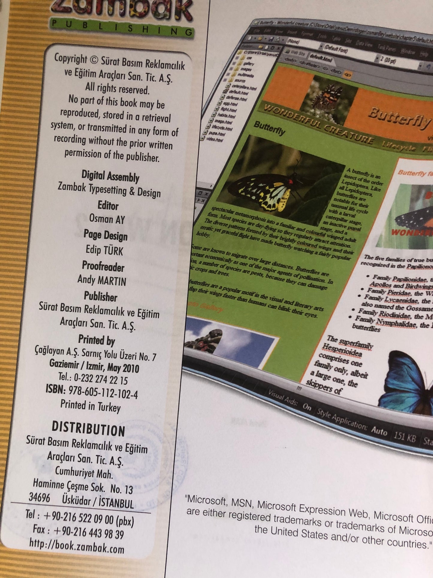 Microsoft EXPRESSION WEB 2 (computer series)