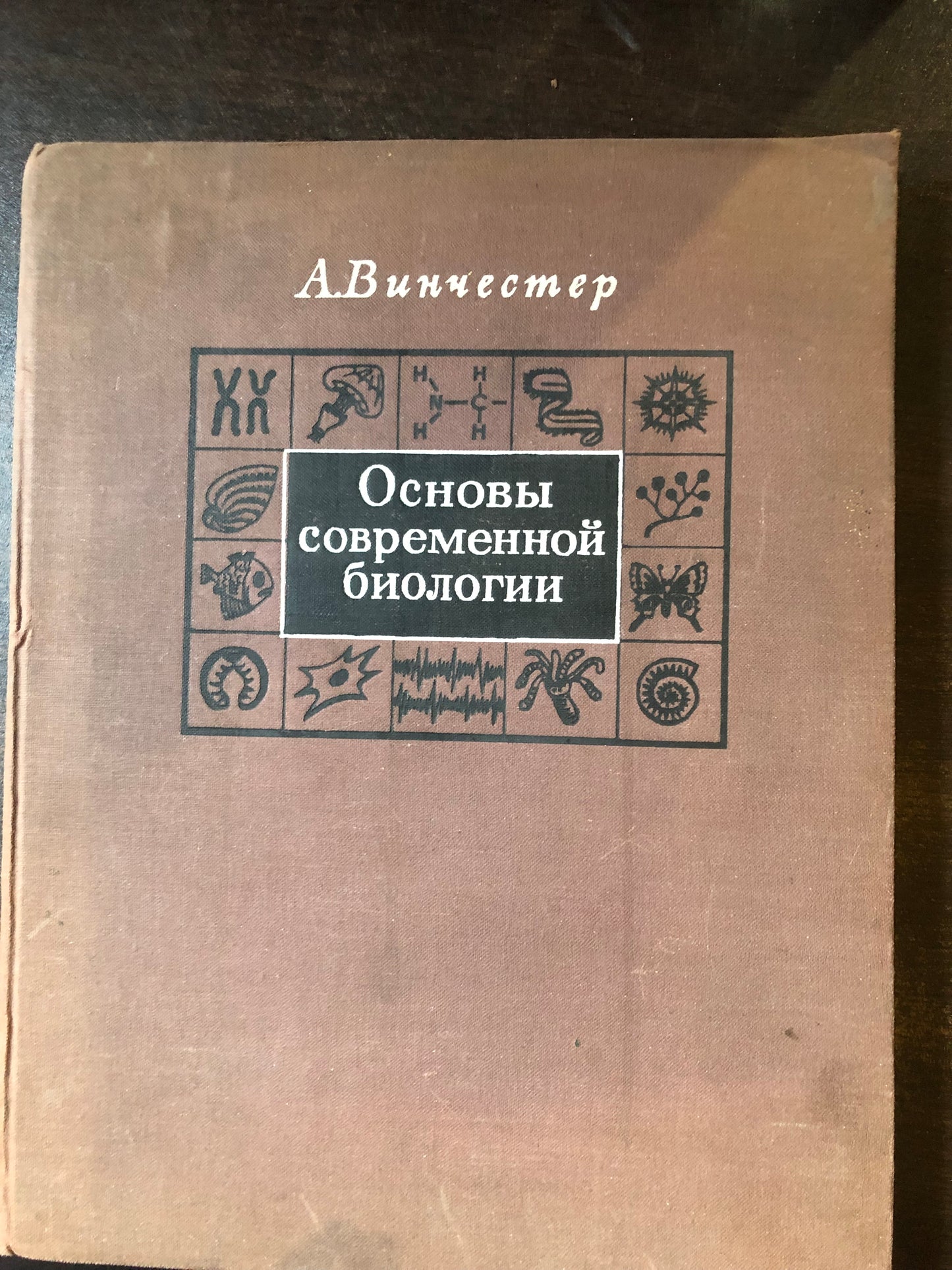 ОСНОВНЫ СОВРЕМЕННОЙ БИОЛОГИИ
