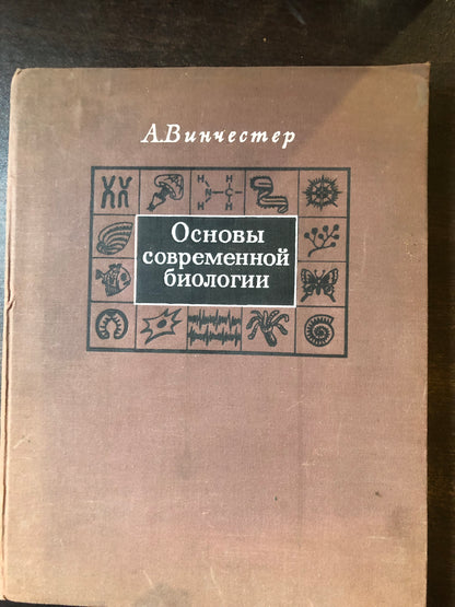 ОСНОВНЫ СОВРЕМЕННОЙ БИОЛОГИИ