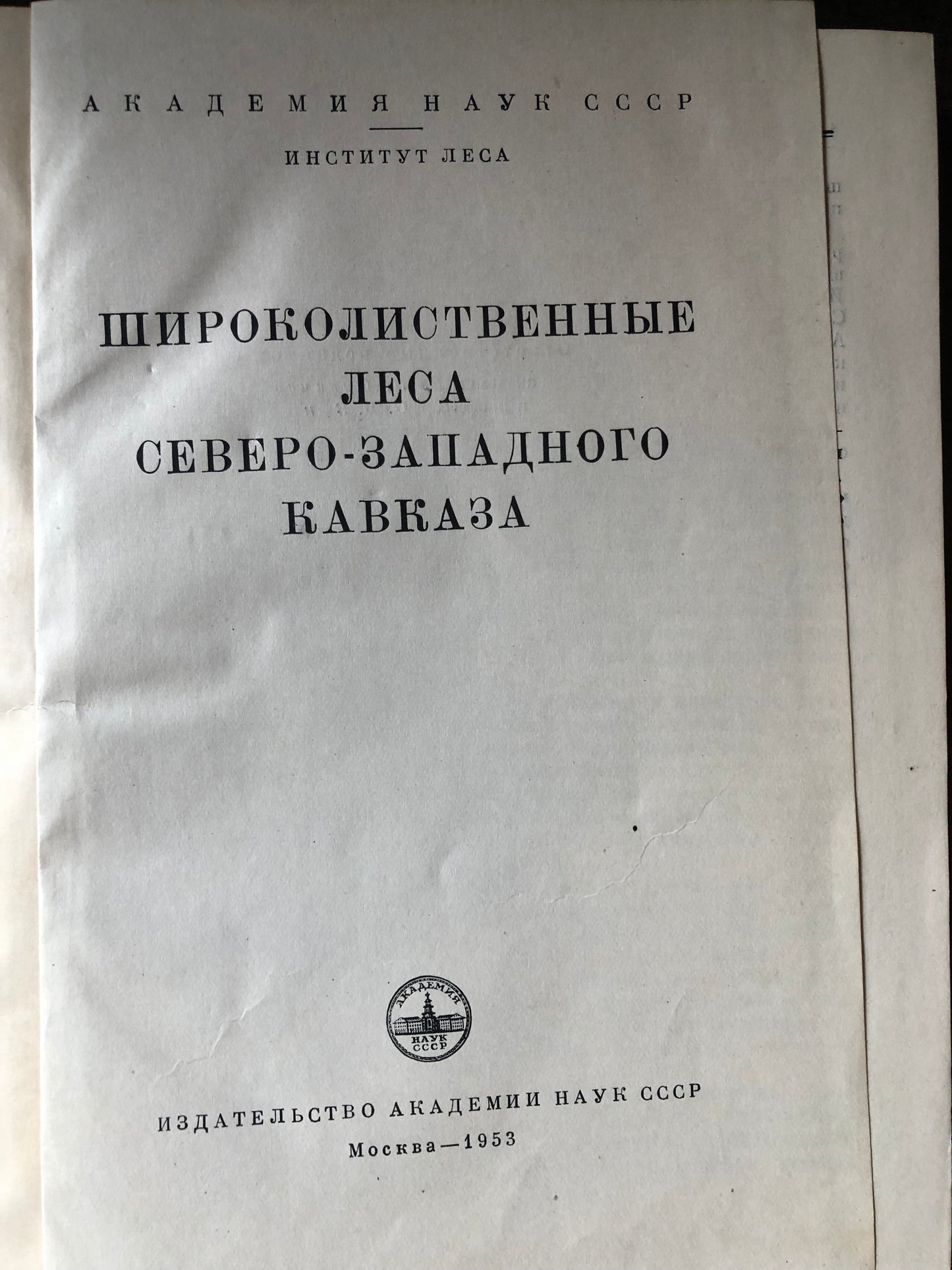 ШИРОКОЛИСТВЕННЫЕ ЛЕСА СЕВЕРО-ЗАПАДНОГО КАВКАЗА
