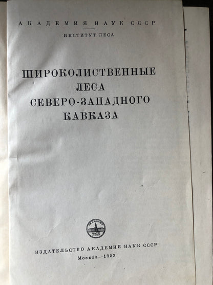 ШИРОКОЛИСТВЕННЫЕ ЛЕСА СЕВЕРО-ЗАПАДНОГО КАВКАЗА