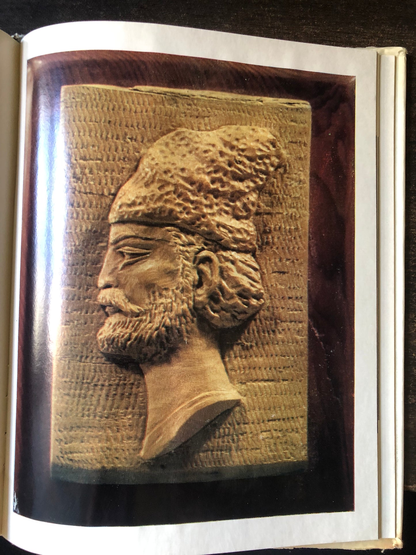 არსენ ფოჩხუა