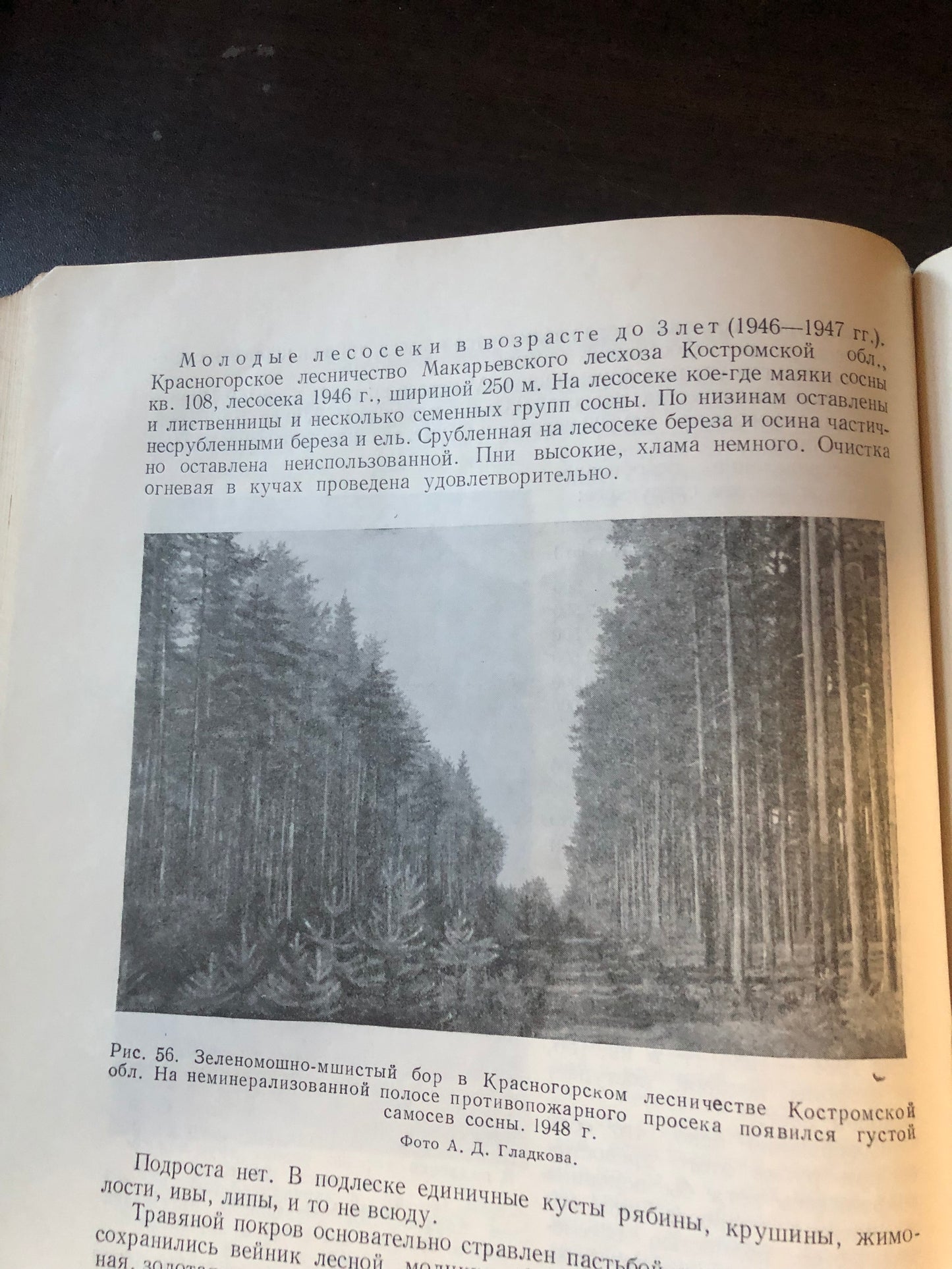 ЕСТЕСТВЕННОЕ ВОЗОБНОВЛЕНИЕ НА КОНЦЕРТРИРОВАННЫХ ВЫРУБКАХ