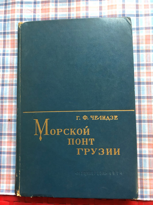 МОРСКОЙ ПОНТ ГРУЗИИ