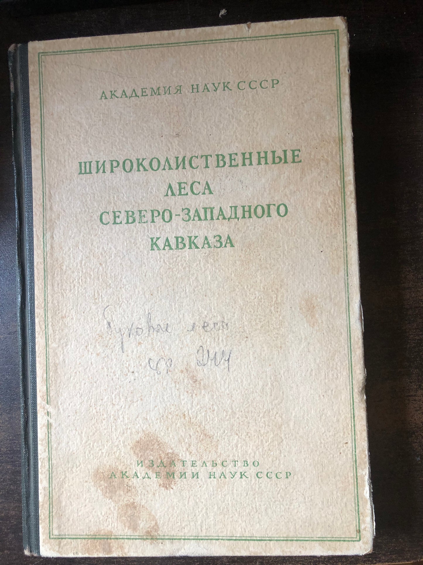 ШИРОКОЛИСТВЕННЫЕ ЛЕСА СЕВЕРО-ЗАПАДНОГО КАВКАЗА