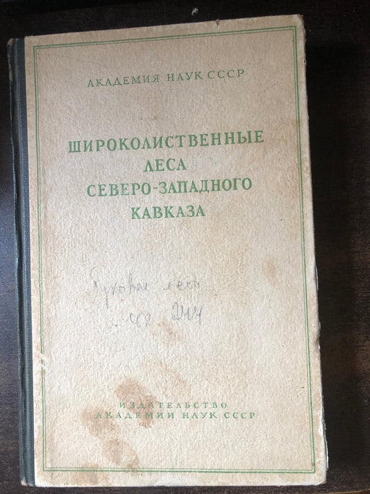 ШИРОКОЛИСТВЕННЫЕ ЛЕСА СЕВЕРО-ЗАПАДНОГО КАВКАЗА