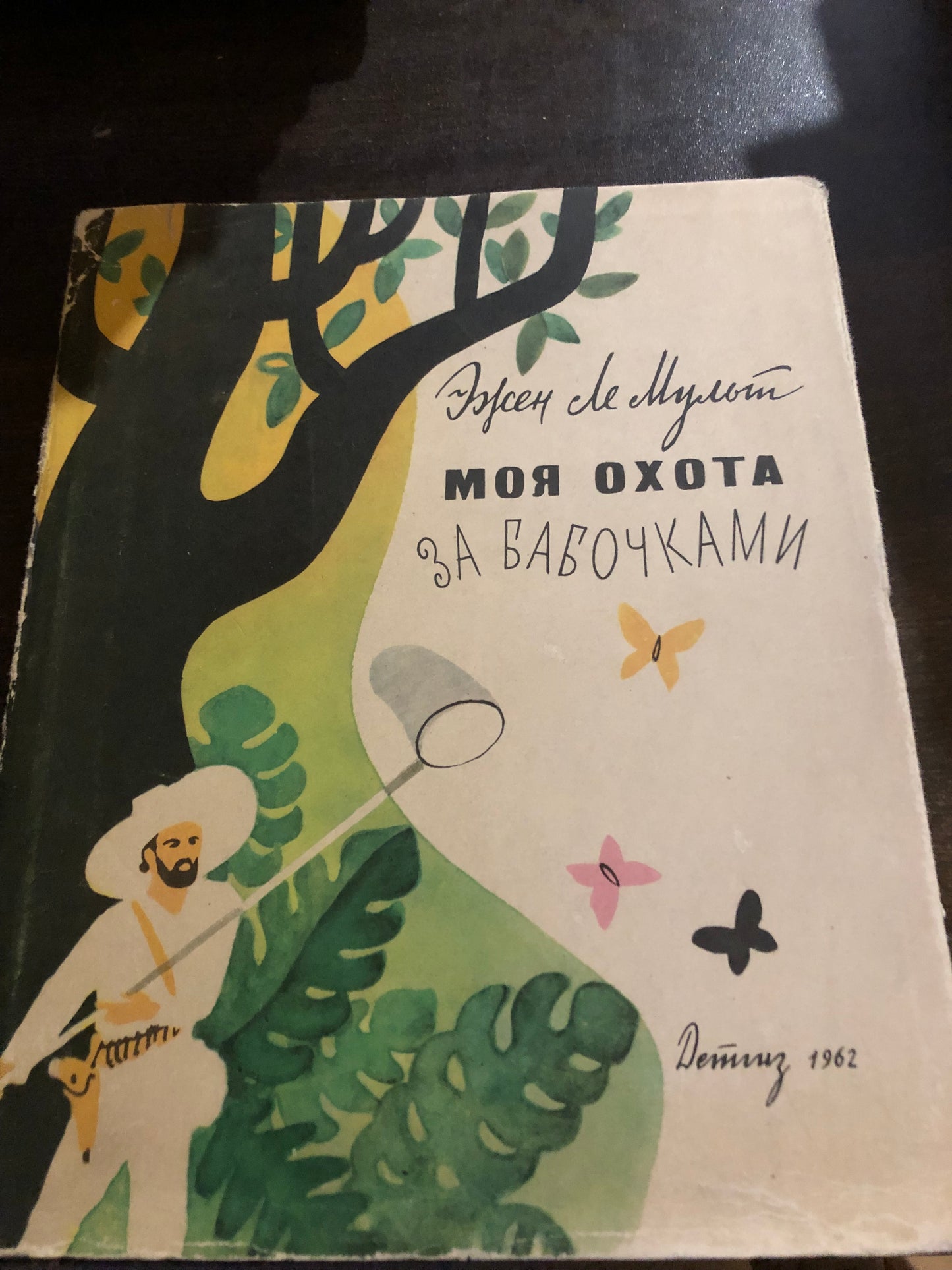 МОЯ ООТА ЗА БАБОЧКАМИ