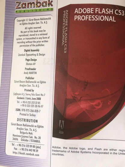 Adobe FLASH CS3 (computer series)