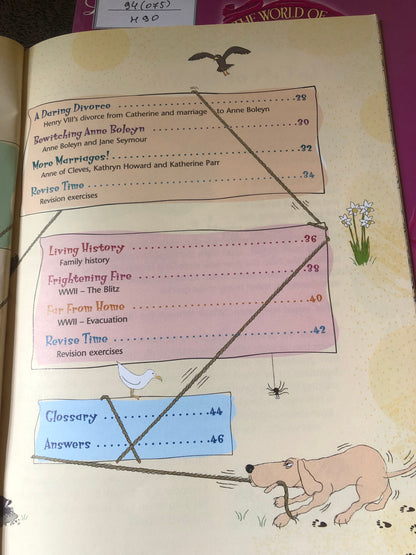 History revision (ages 8-9)