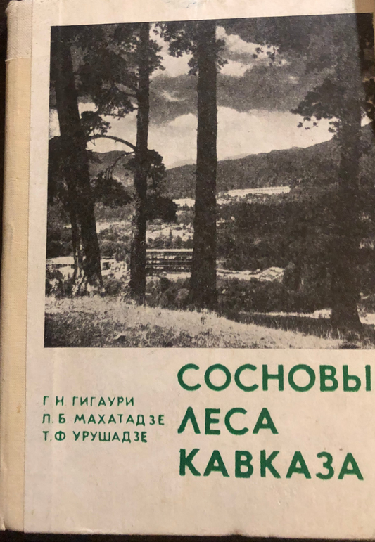 СОСНОВЫЕ ЛЕСА КАВКАЗА
