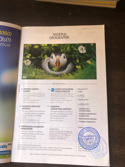 NATIONAL GEOGRAPHIC გმირი ძაღლები