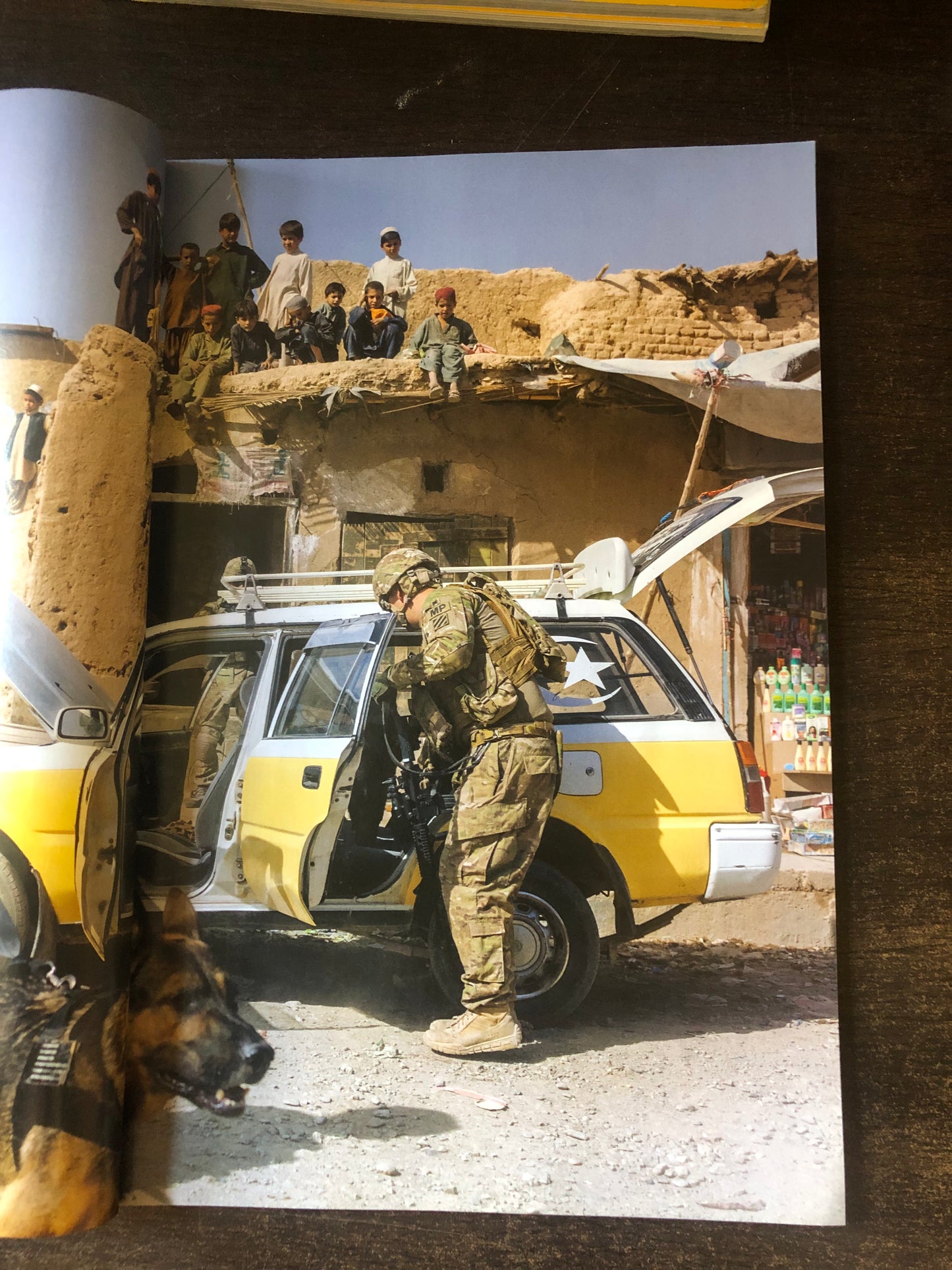 NATIONAL GEOGRAPHIC გმირი ძაღლები